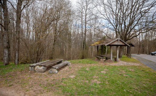 34_Šilalės pažintinis takas 1 (1).jpg